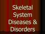 Skeletal System Diseases & Disorders