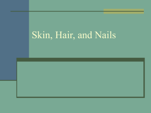 02. Assessment of Skin, Hair, and Nails
