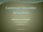 lec16.Common shoulder disorders
