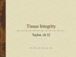 Tissue Integrity