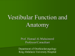 Vestibular Function and Anatomy - Home