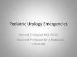 Pediatric Urology Emergencies