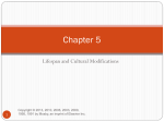 PowerPoint Chapter 5