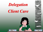 13. Delegation Client Care