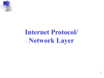 The Network Layer