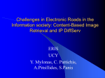 Challenges in Electronic Roads in the Information society