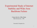 Experimental Study of Internet Stability and Wide