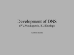 Development of DNS