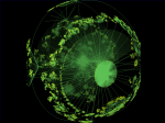 Topology of Networks