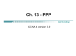 Ch. 13 - PPP