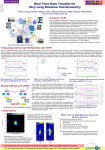 Poster - The University of Manchester