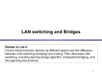 Bridges/LAN Switches