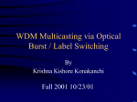 WDM Multicasting via Optical Burst / Label Switching