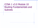 CCNA 1 Module 10 Routing Fundamentals and Subnets