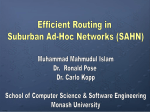 Efficient Routing in Suburban Ad-Hoc Networks