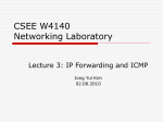 IP Forwarding and ICMP