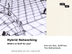ErBo-2007-08-28-Hybrid_networking