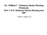 show ip route