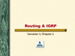 Routing & IGRP