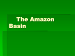 The Amazon Basin