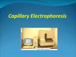 capillary electropho..