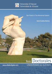 Spin Physics in Two-dimensional Systems  Daniel Gosálbez Martínez
