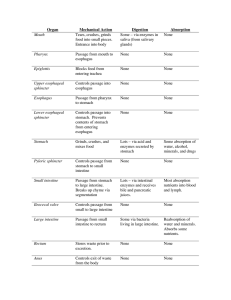 GI system