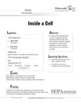 http://teach.genetics.utah.edu/content/cells/InsideaCellWorksheet.pdf