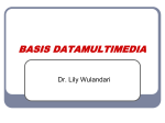 minggu11_Basis Data Multimedia.