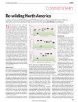 ReWilding North America