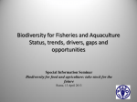 Biodiversity for Fisheries and Aquaculture: Status, trends, drivers, gaps and opportunities