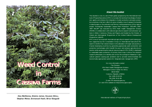 Weed control in cassava farms