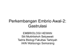 Perkembangan Embrio Awal