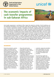 The economic impacts of cash transfer programmes in sub-Saharan Africa