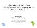 From Protection to Production: the impact of cash tranfser programs on economic activities