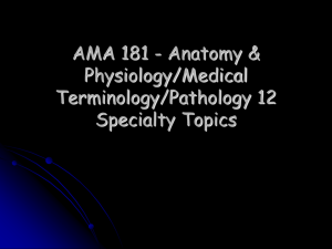 AMA 181 powerpoint