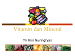 Vitamin dan Mineral