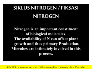 dasar ilmu tanah fiksasi nitrogen