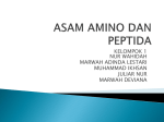 ASAM AMINO DAN PEPTIDA