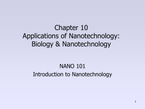 NANO101 11 BioNanoandMagnets 2014 AC