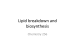 Lipids2