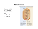 L4_bacterial metabolism7e
