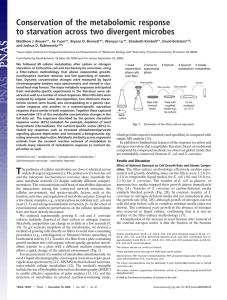 Conservation of the metabolomic response to starvation across two divergent microbes.