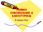 17. CHROMOSome - WordPress.com