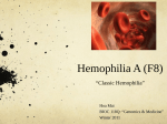 Hoa Mai - Hemophilia