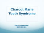 Jazmin Youngblood - Charcot Marie Tooth Syndrome