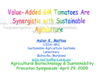 "Value-Added GM Tomatoes are Synergistic with Sustainable Agriculture"