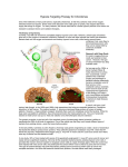 Learn about Hypoxia Targeting Therapy for Chordomas