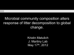 Kristin Matulich: M icrobial responses to environmental change