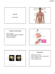 Lab 30 Heart